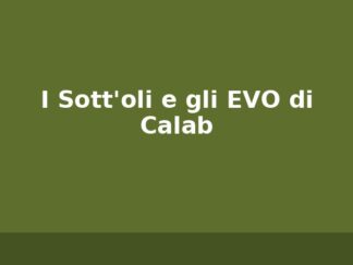 I Sott'oli e gli EVO di Calab