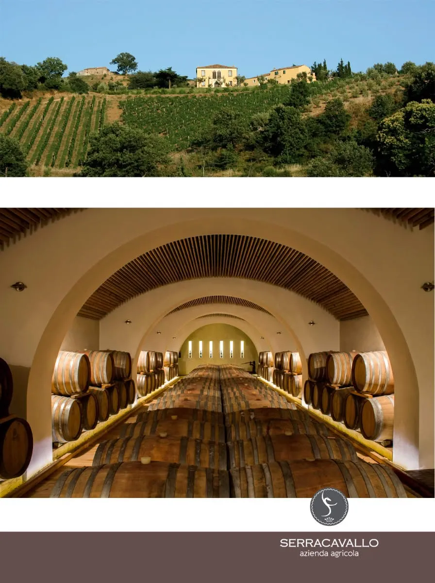Serracavallo Vigna Savuco - immagine 2
