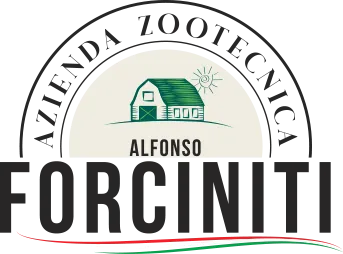 Frammento di Fossa 400 g - immagine 2